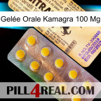 Gelée Orale Kamagra 100 Mg new06